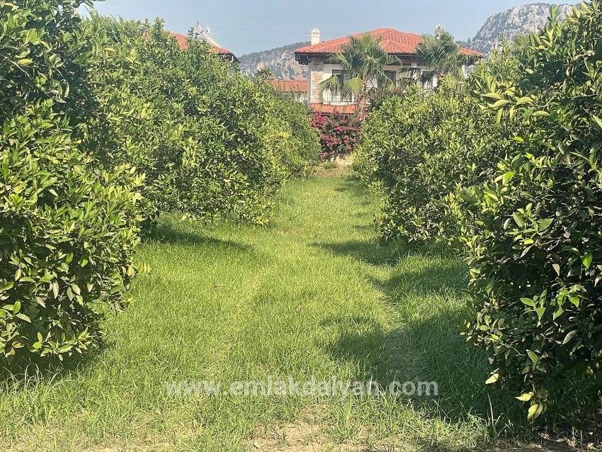 Land For sale in Dalyan Nbh. Ortaca - Housing Zoned - 722 m²