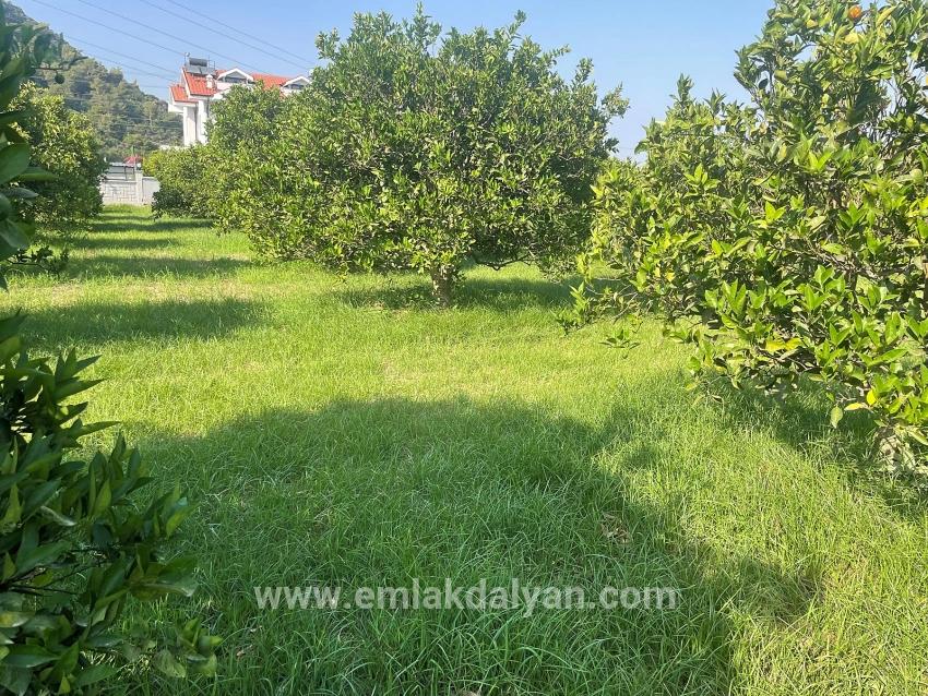 Land For sale in Dalyan Nbh. Ortaca - Housing Zoned - 722 m²