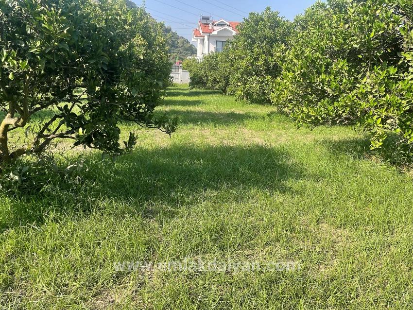 Land For sale in Dalyan Nbh. Ortaca - Housing Zoned - 722 m²