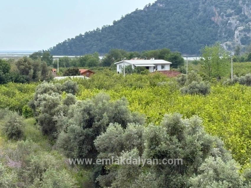 Field For sale in Çandır Nbh. Köyceğiz - Field Zoned - 1.721 m²