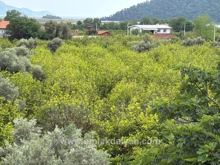 Field For sale in Çandır Nbh. Köyceğiz - Field Zoned - 1.721 m²