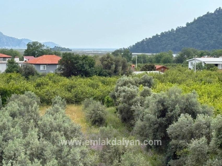 Field For sale in Çandır Nbh. Köyceğiz - Field Zoned - 1.721 m²