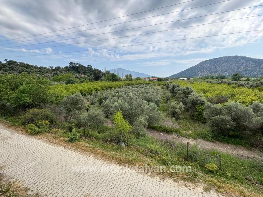 Field For sale in Çandır Nbh. Köyceğiz - Field Zoned - 1.721 m²