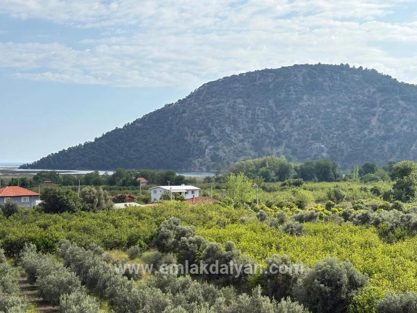 Field For sale in Çandır Nbh. Köyceğiz - Field Zoned - 1.721 m²