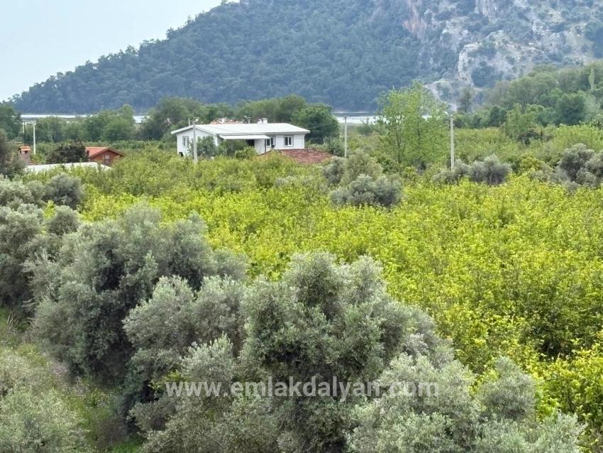 Field For sale in Çandır Nbh. Köyceğiz - Field Zoned - 1.721 m²