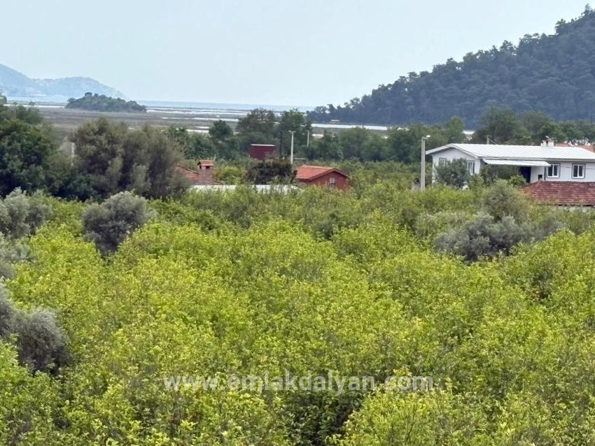 Field For sale in Çandır Nbh. Köyceğiz - Field Zoned - 1.721 m²