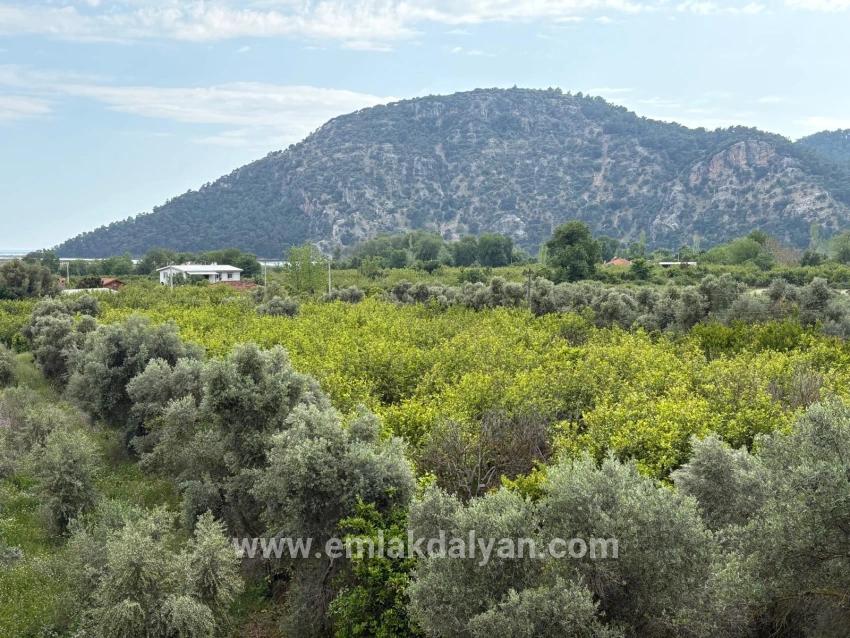 Field For sale in Çandır Nbh. Köyceğiz - Field Zoned - 1.721 m²