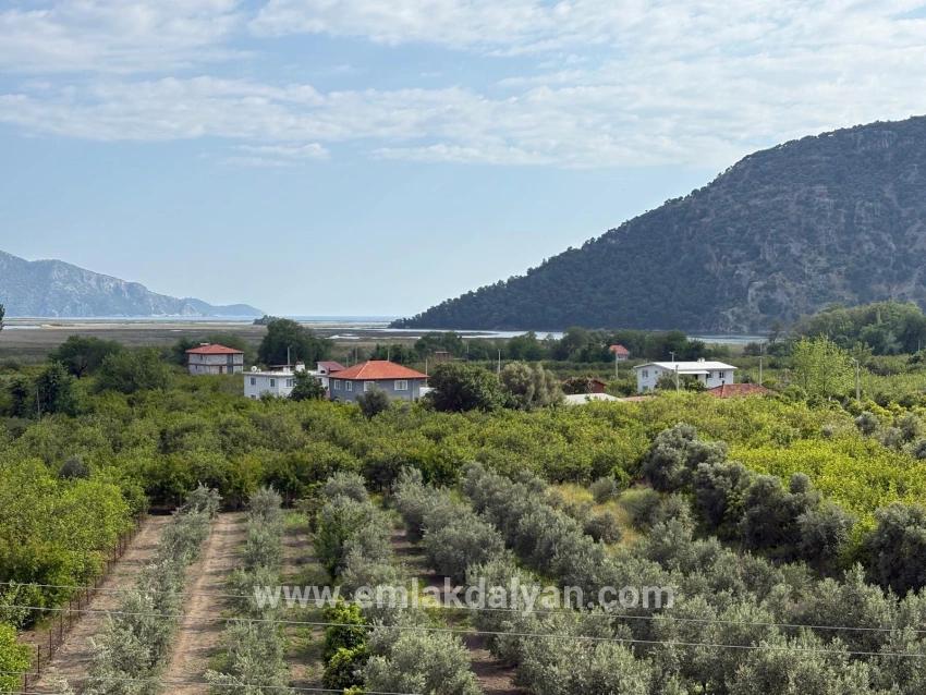 Field For sale in Çandır Nbh. Köyceğiz - Field Zoned - 1.721 m²