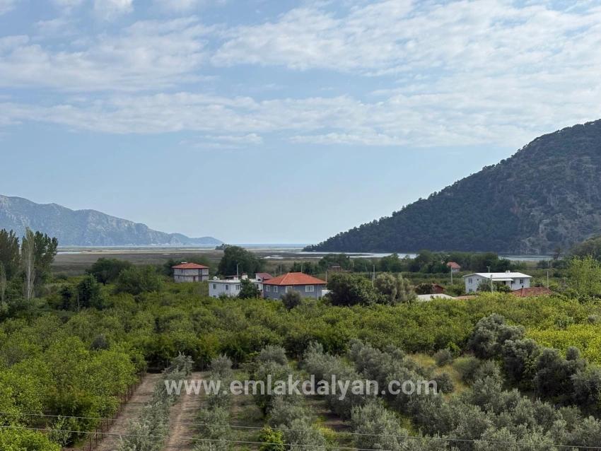 Field For sale in Çandır Nbh. Köyceğiz - Field Zoned - 1.721 m²