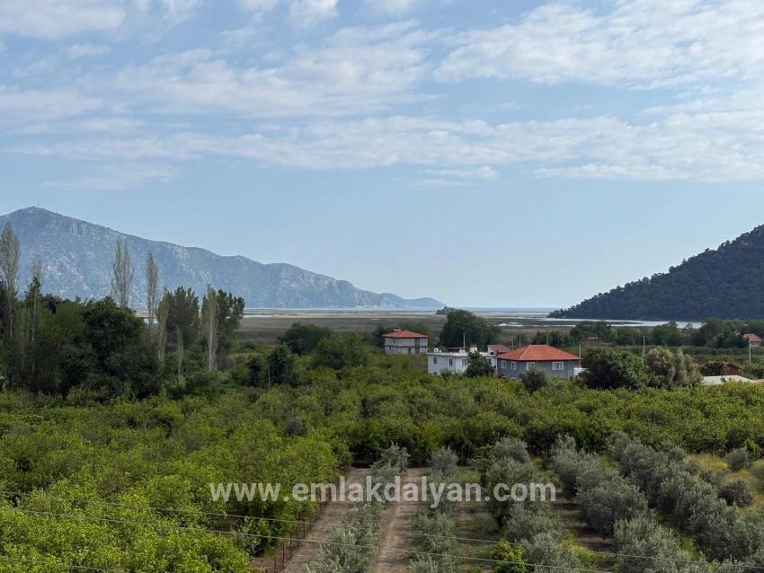 Field For sale in Çandır Nbh. Köyceğiz - Field Zoned - 1.721 m²