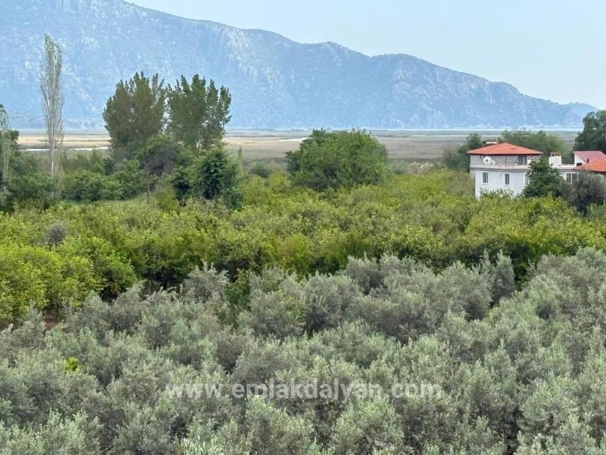 Field For sale in Çandır Nbh. Köyceğiz - Field Zoned - 1.721 m²