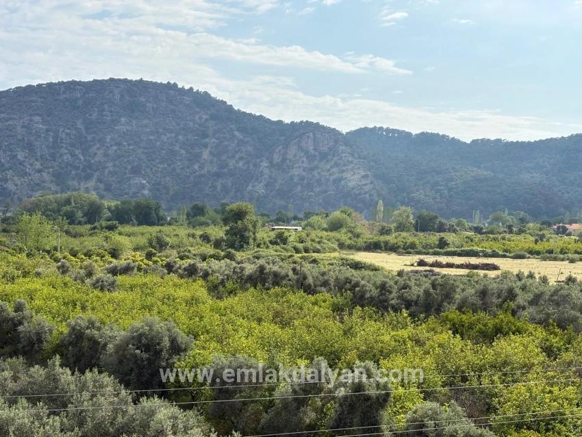Field For sale in Çandır Nbh. Köyceğiz - Field Zoned - 1.721 m²