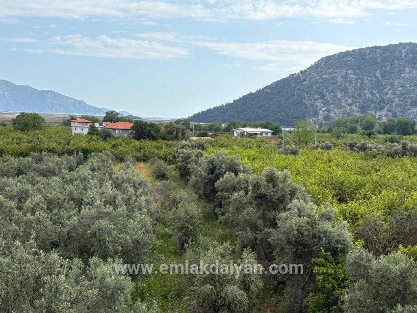 Field For sale in Çandır Nbh. Köyceğiz - Field Zoned - 1.721 m²