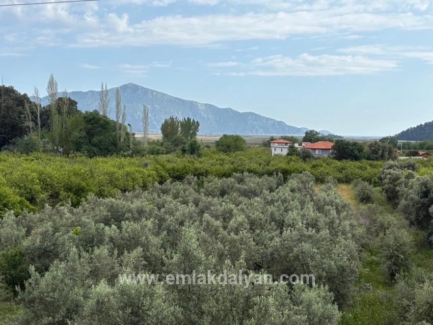 Field For sale in Çandır Nbh. Köyceğiz - Field Zoned - 1.721 m²
