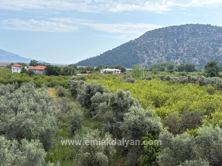 Field For sale in Çandır Nbh. Köyceğiz - Field Zoned - 1.721 m²