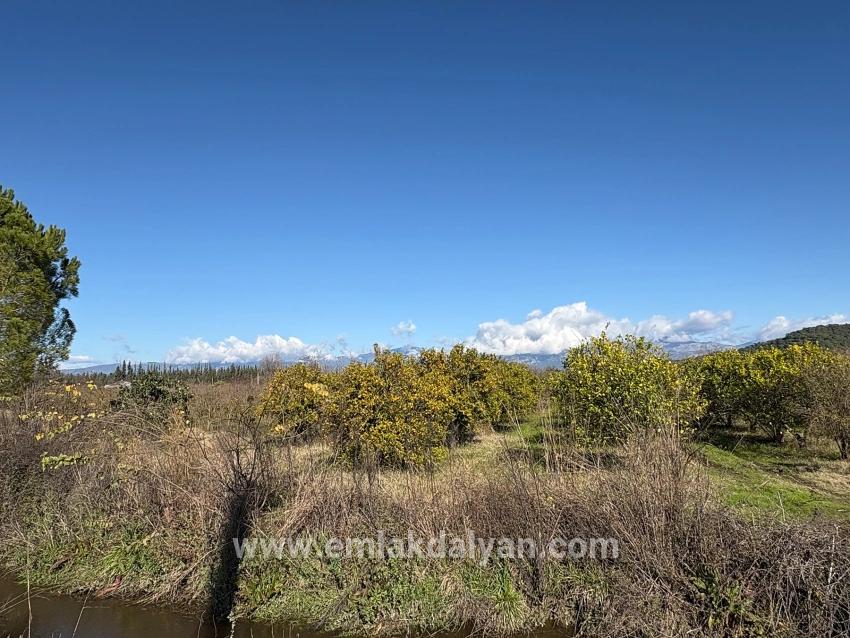 23,000 M² Detached Land For Sale In Tepearası.