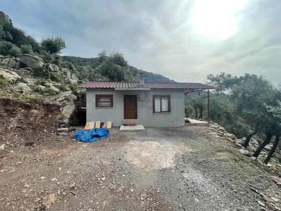 Köyceğiz Ekincik sea view 7.000m2 2b for sale olive grove