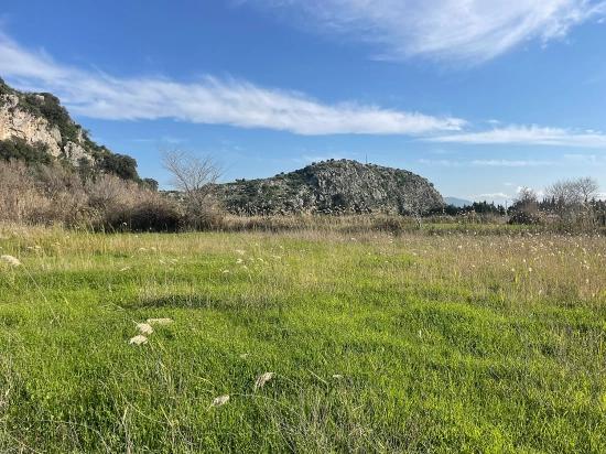 6800 M2 Plot Of Land For Sale In Dalyan With 5% Residential Zoning.