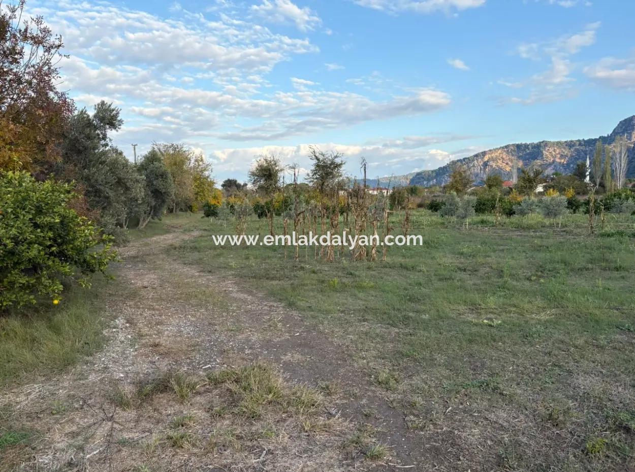 7,450M2 Land For Sale Close To The Center Of Dalyan