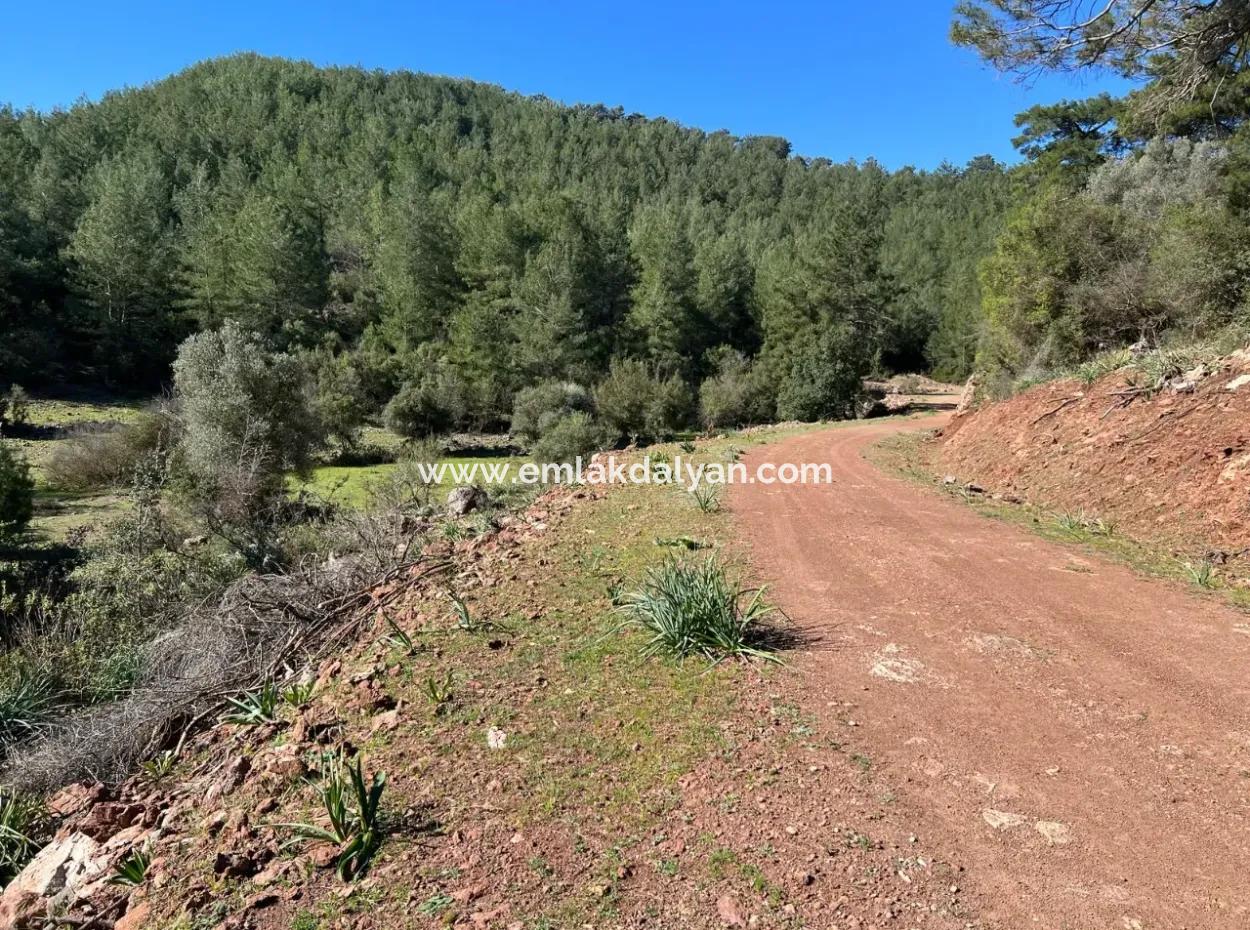 Land For Sale In Nature And Forest In Gökbel