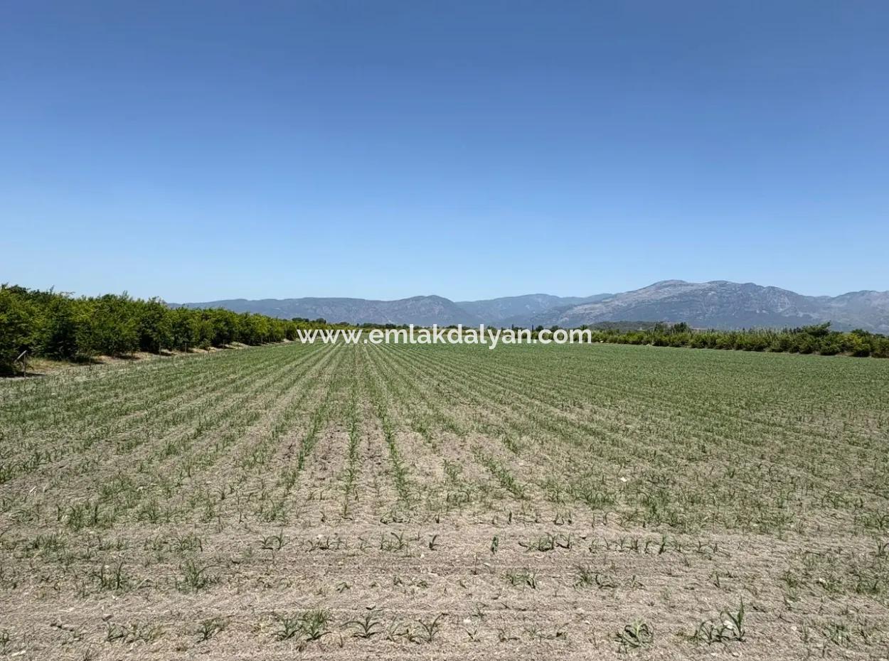 46,550M2 Land For Sale In Tepearası