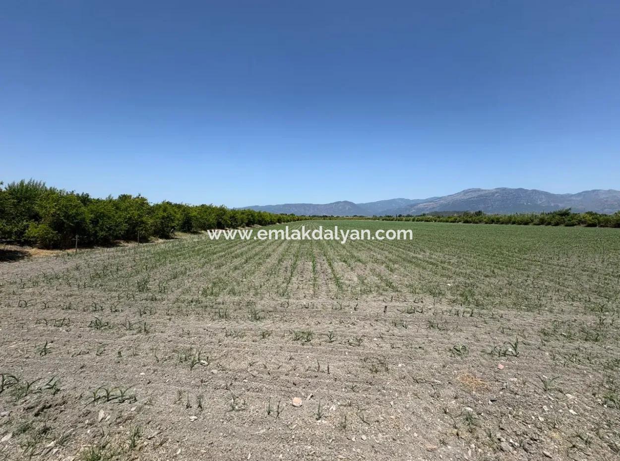 46,550M2 Land For Sale In Tepearası