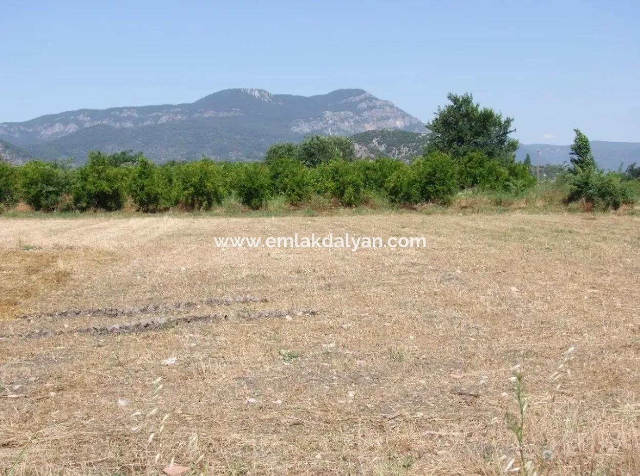 Plot For Sale On The Corner Of 540M2 In Okcular