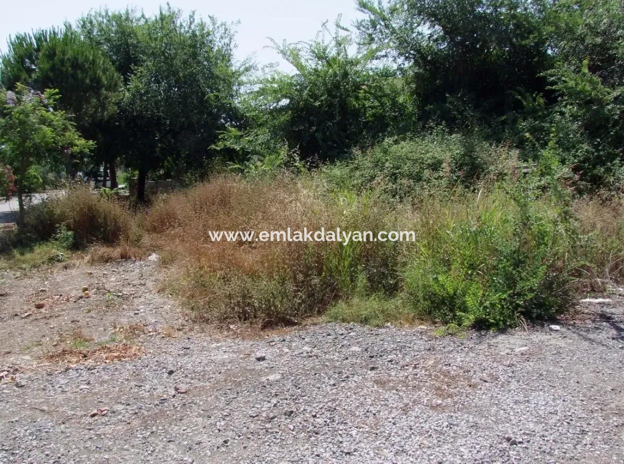 Gurpinar In Dalyan For Sale Dalyan Land For Sale, Plot For Sale In Köşebaşı 993M2 0 60