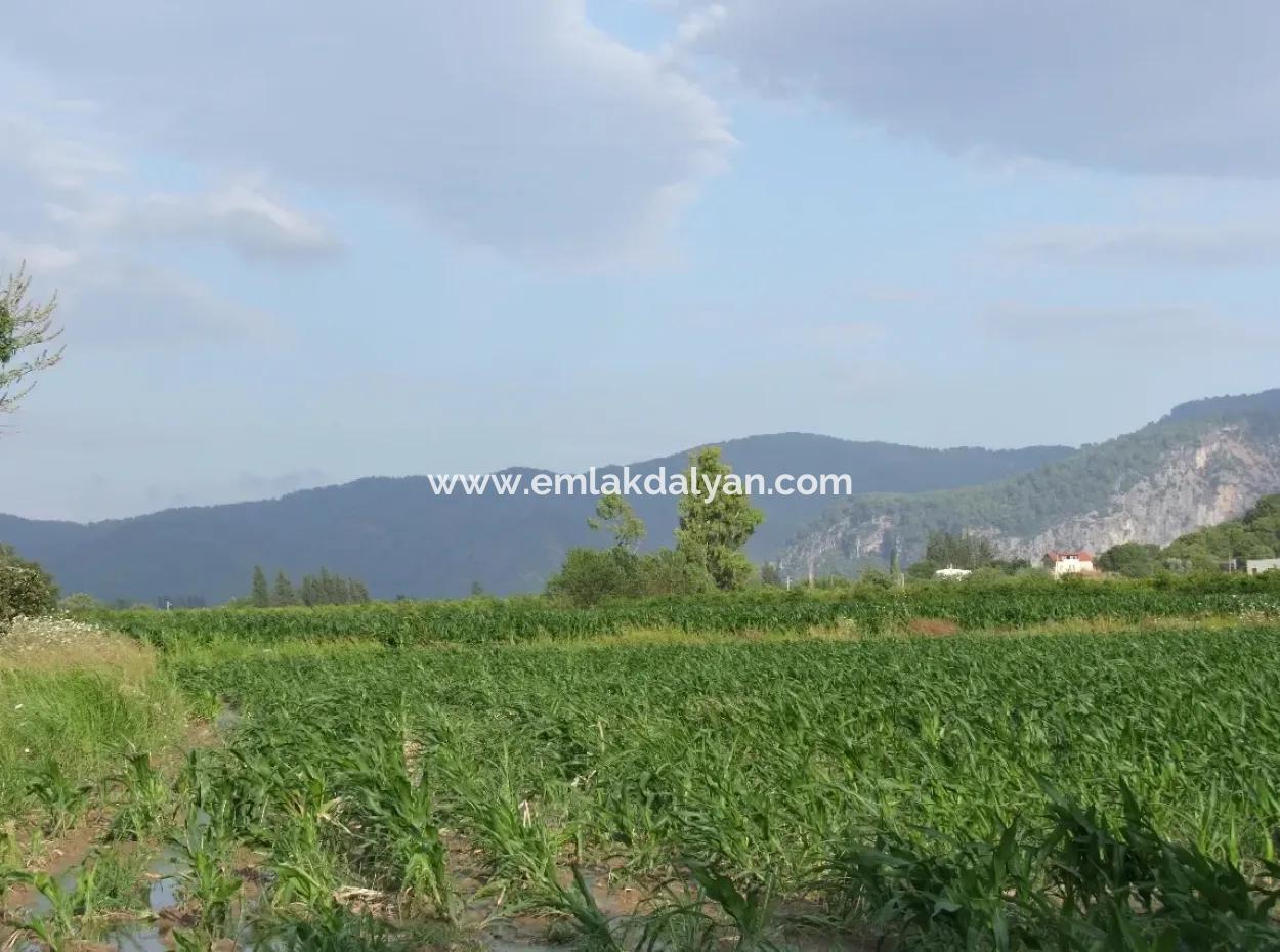 Farm For Sale Near The Centre Of Dalyan,14, 612M2 Farm For Sale