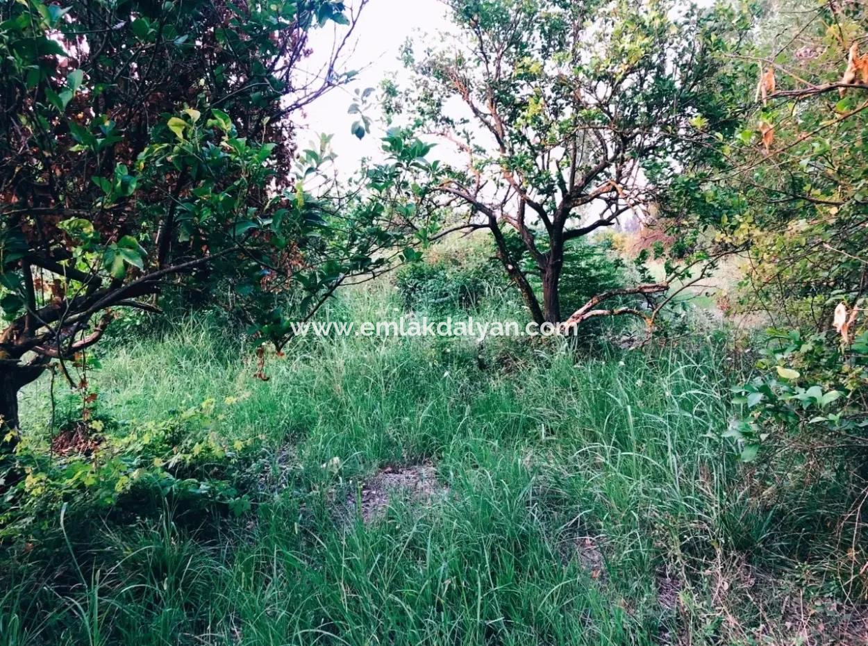 Archer In The Archers Plot For Sale For Sale In Marmarli 1,500M2 Plot For Sale