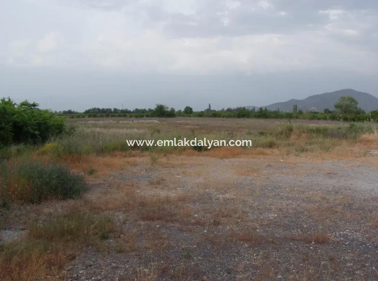 Commercial Plot For Sale In Dalyan, Dalyan On Highway 17,805M2 Plot For Sale Bargain