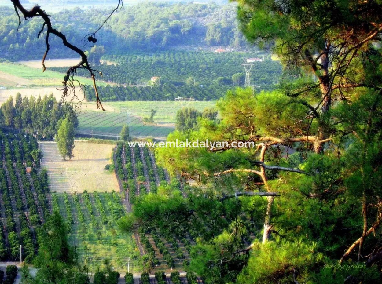 Gökçe Gökçe 21671M2 Farm For Sale For Sale