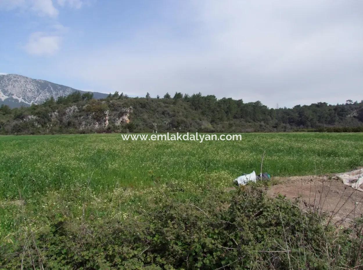 In Akyaka For Sale: Land For Sale Farm For Sale A Farm Near The Sea Of Ars, Yatirimlik 21625M2