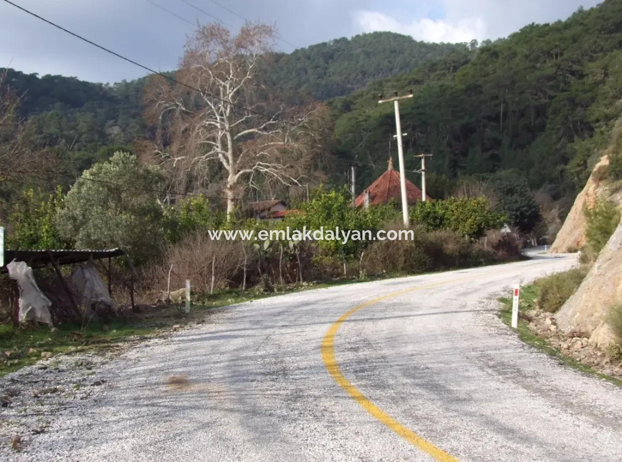 For Sale In Koycegiz, Dalyan Plot For Sale 10629M2