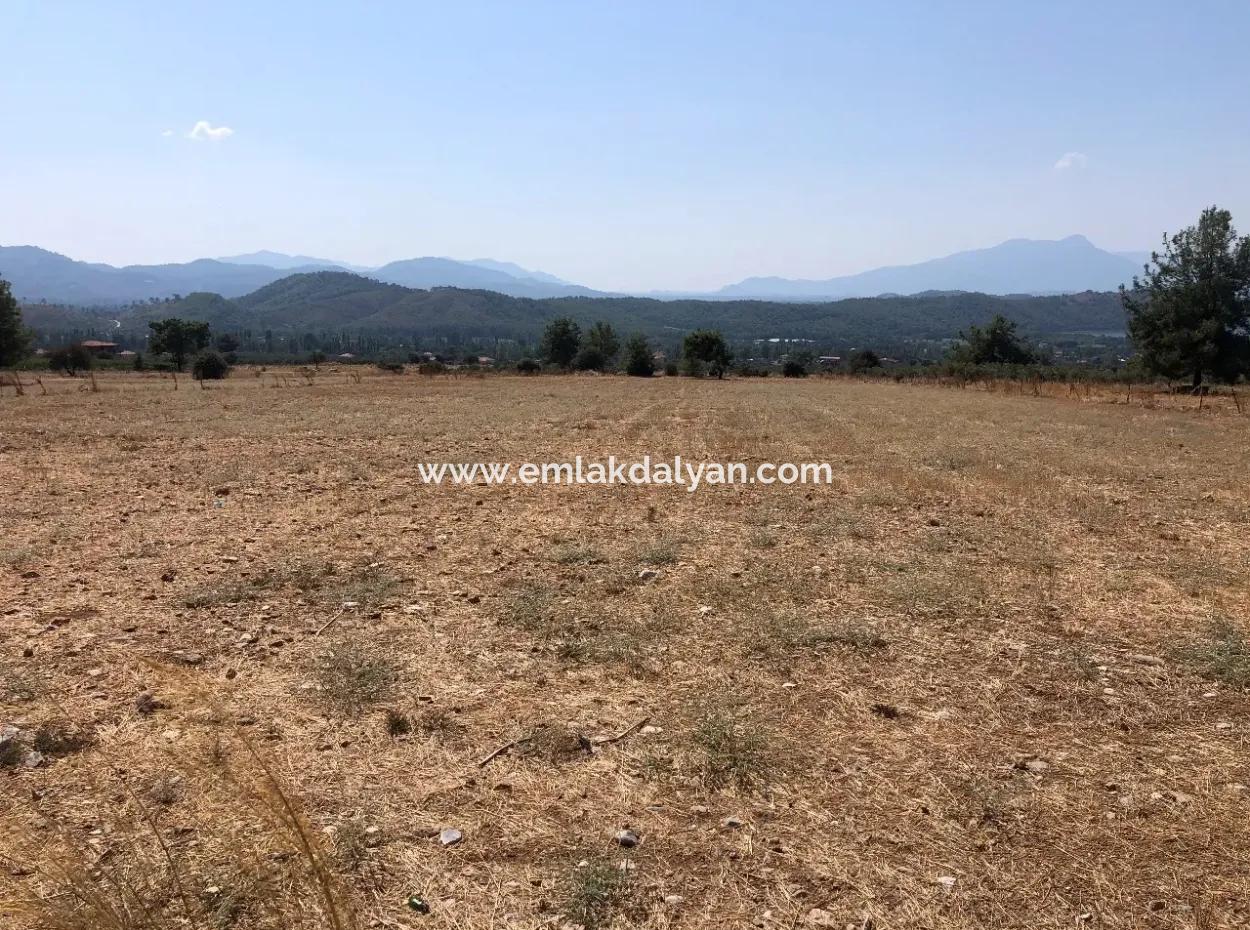 11.227M2 Land For Sale With Lake Views In Köyceğiz Zeytinalanı