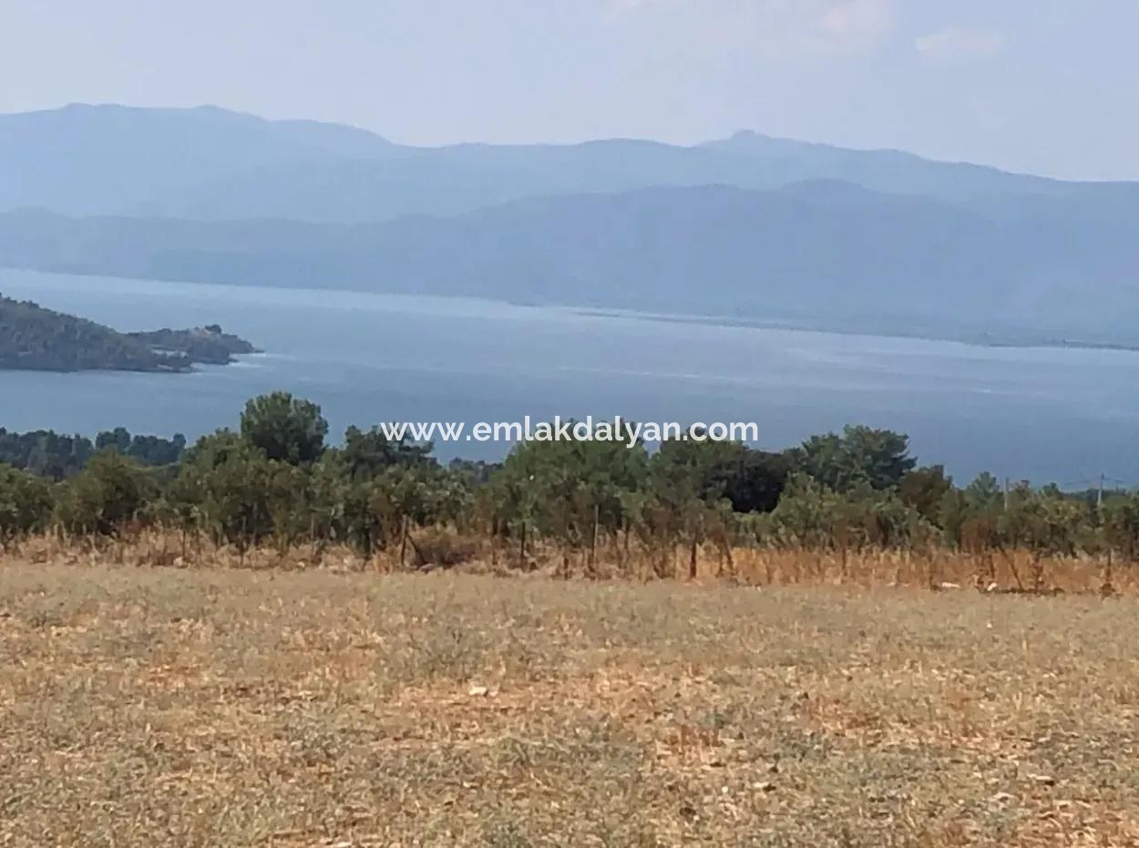 11.227M2 Land For Sale With Lake Views In Köyceğiz Zeytinalanı