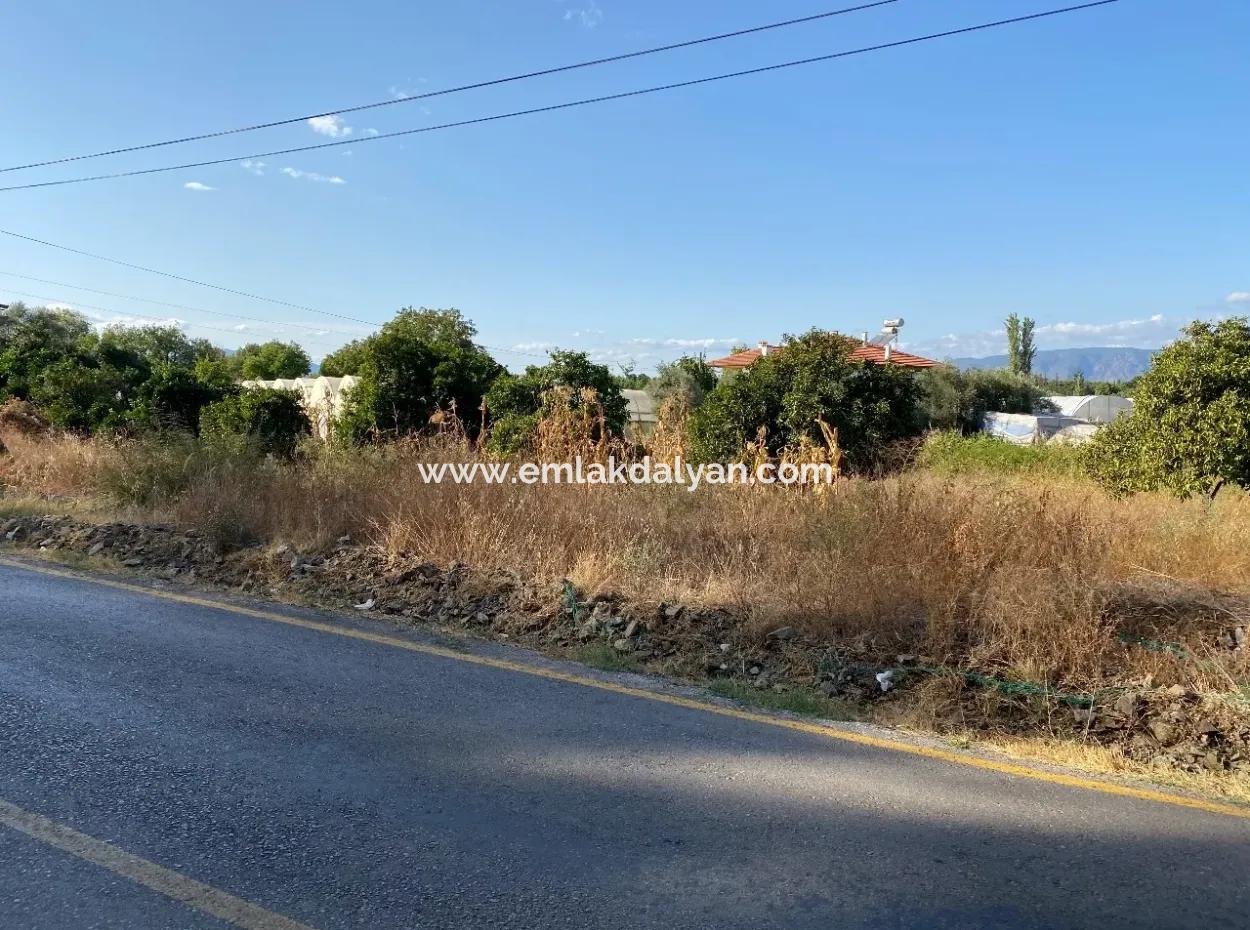 Land For Sale On 2506M2 Mainroa In Kavakarası