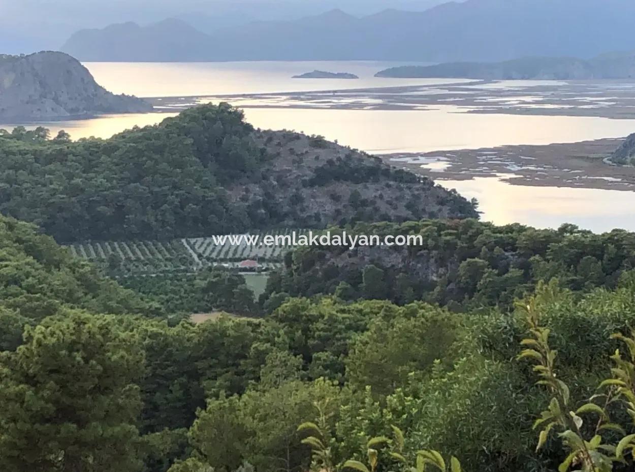 Land For Sale With 1000M2 Sea View In Gokbel