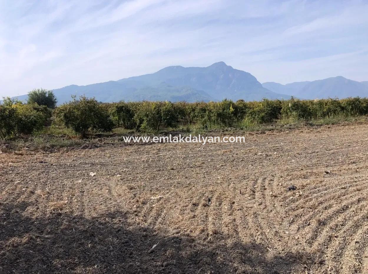 Land For Sale In Esköy 8500M2 Field Land For Sale