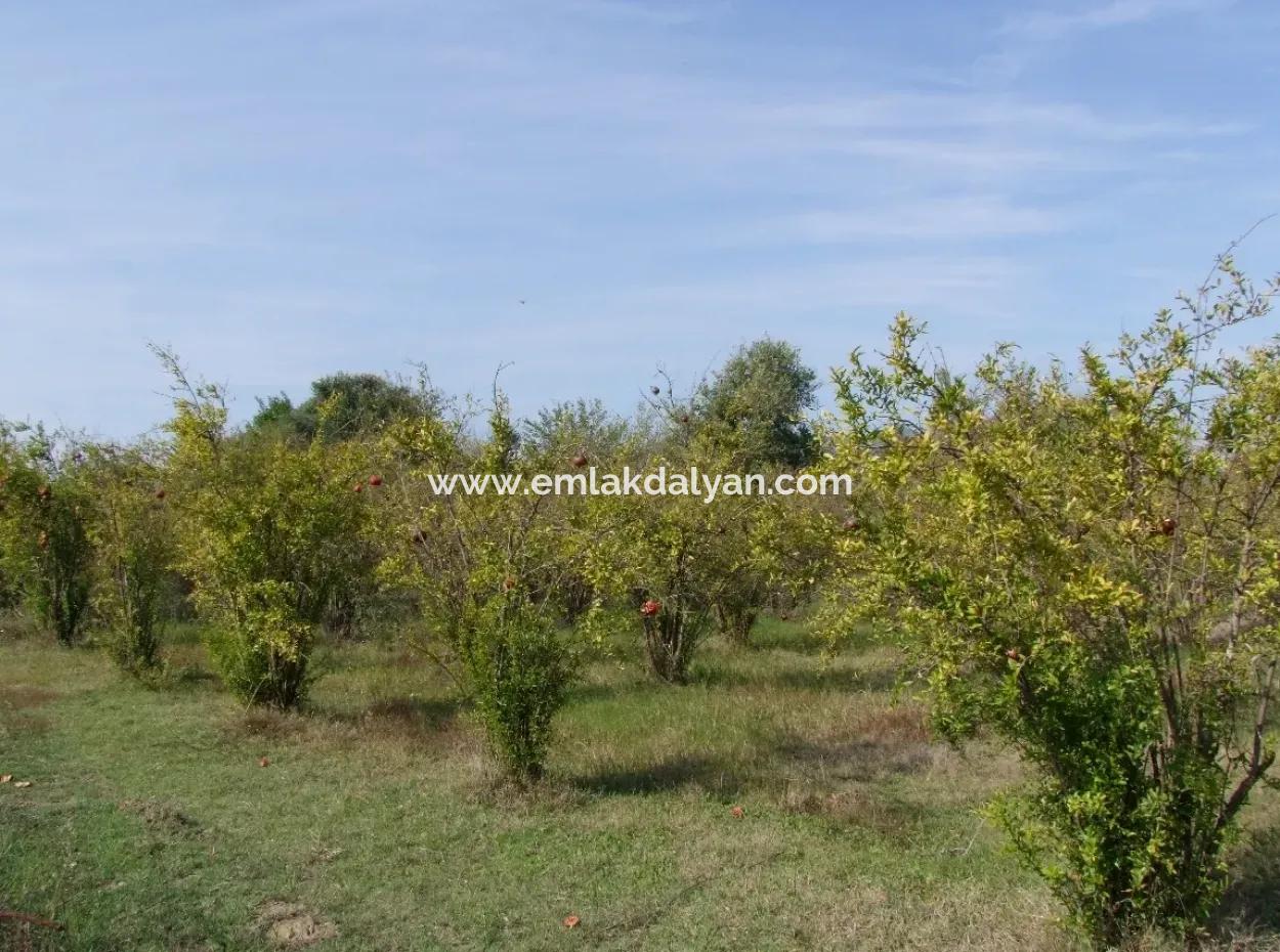 Güzelyurt Land For Sale Village Built 6670M2 Land For Sale