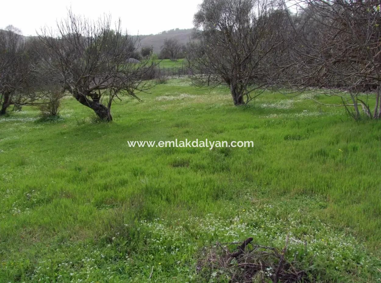 In Incirkoy Uzumlu Fethiye Plot For Sale Farm For Sale In Incirkoy