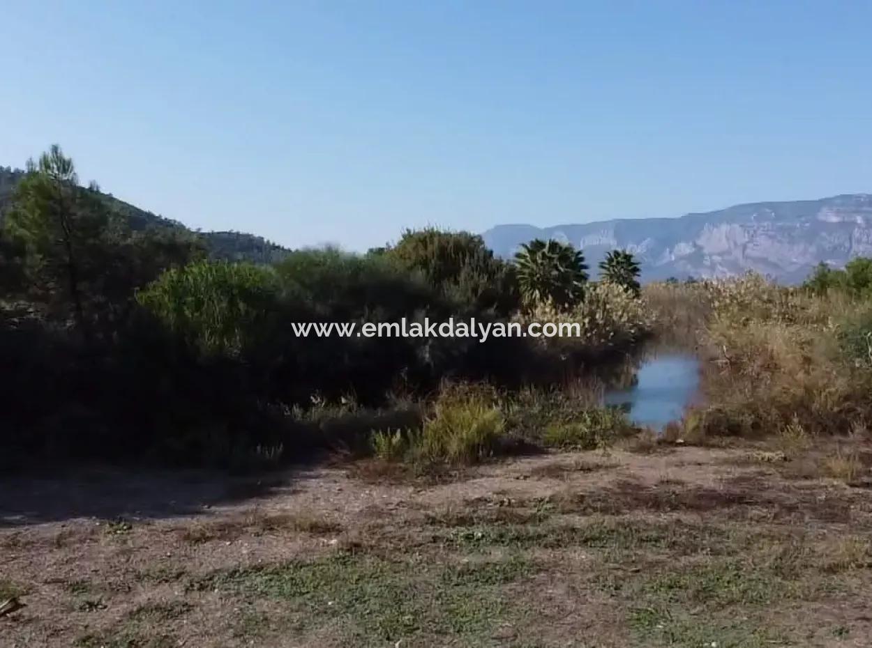 Land Land For Sale In Çamlıda Marmaris Çamlıda Sea View 11720M2 Land For Sale