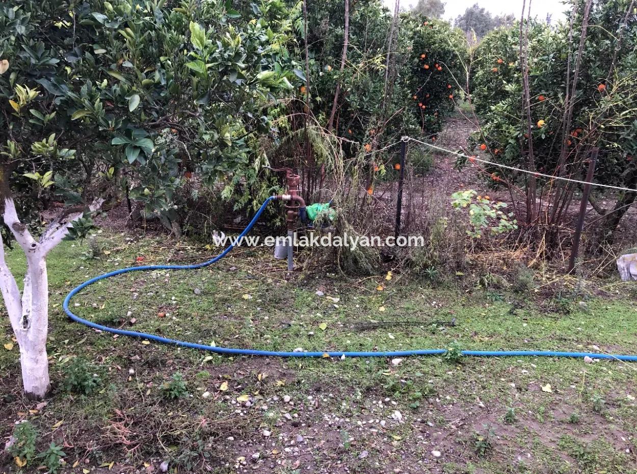 Single-Storey Detached House For Sale In 1222M2 Plot In Archers