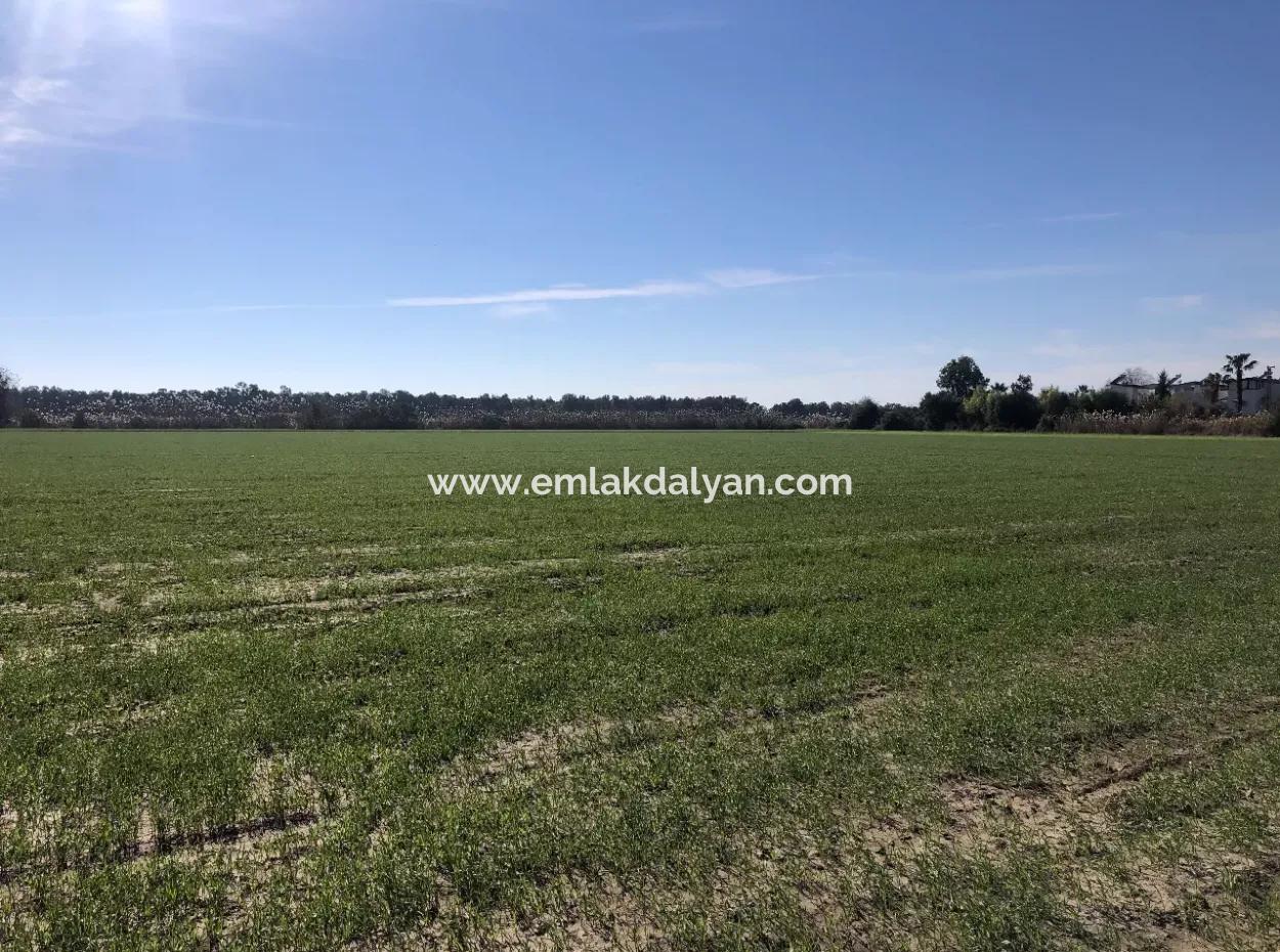 Land For Sale In Sarıgermede 30,000M2 Land For Sale With Sea View