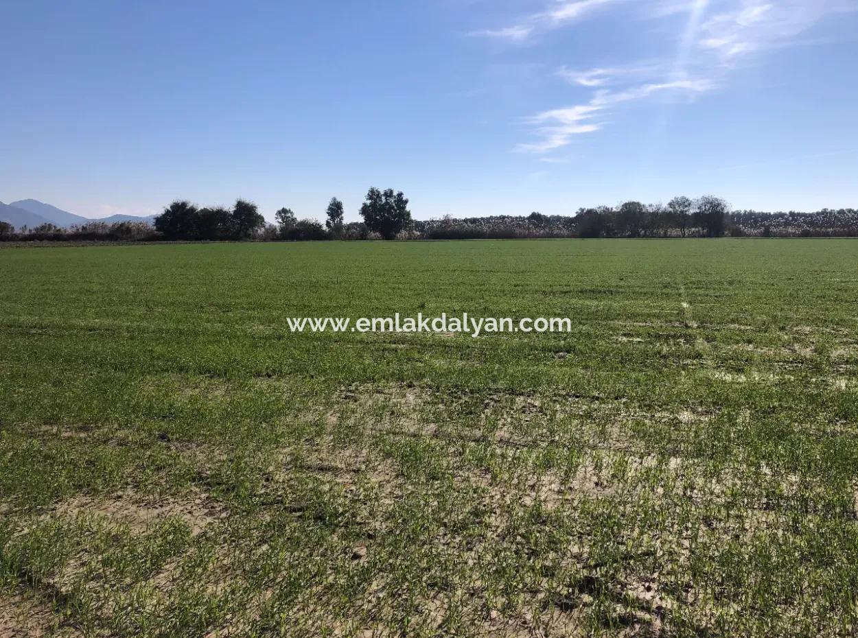 Land For Sale In Sarıgermede 30,000M2 Land For Sale With Sea View