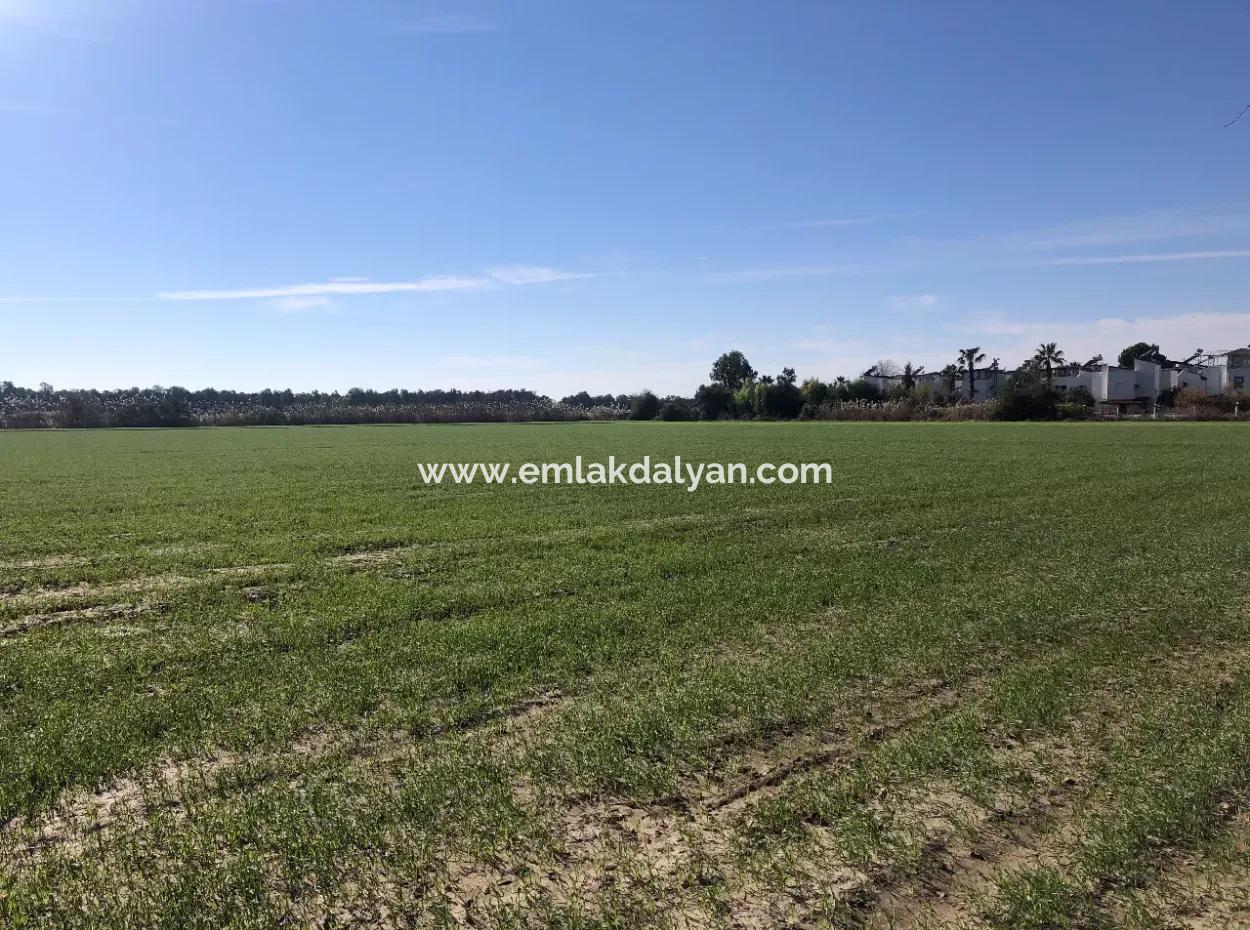 Land For Sale In Sarıgermede 30,000M2 Land For Sale With Sea View