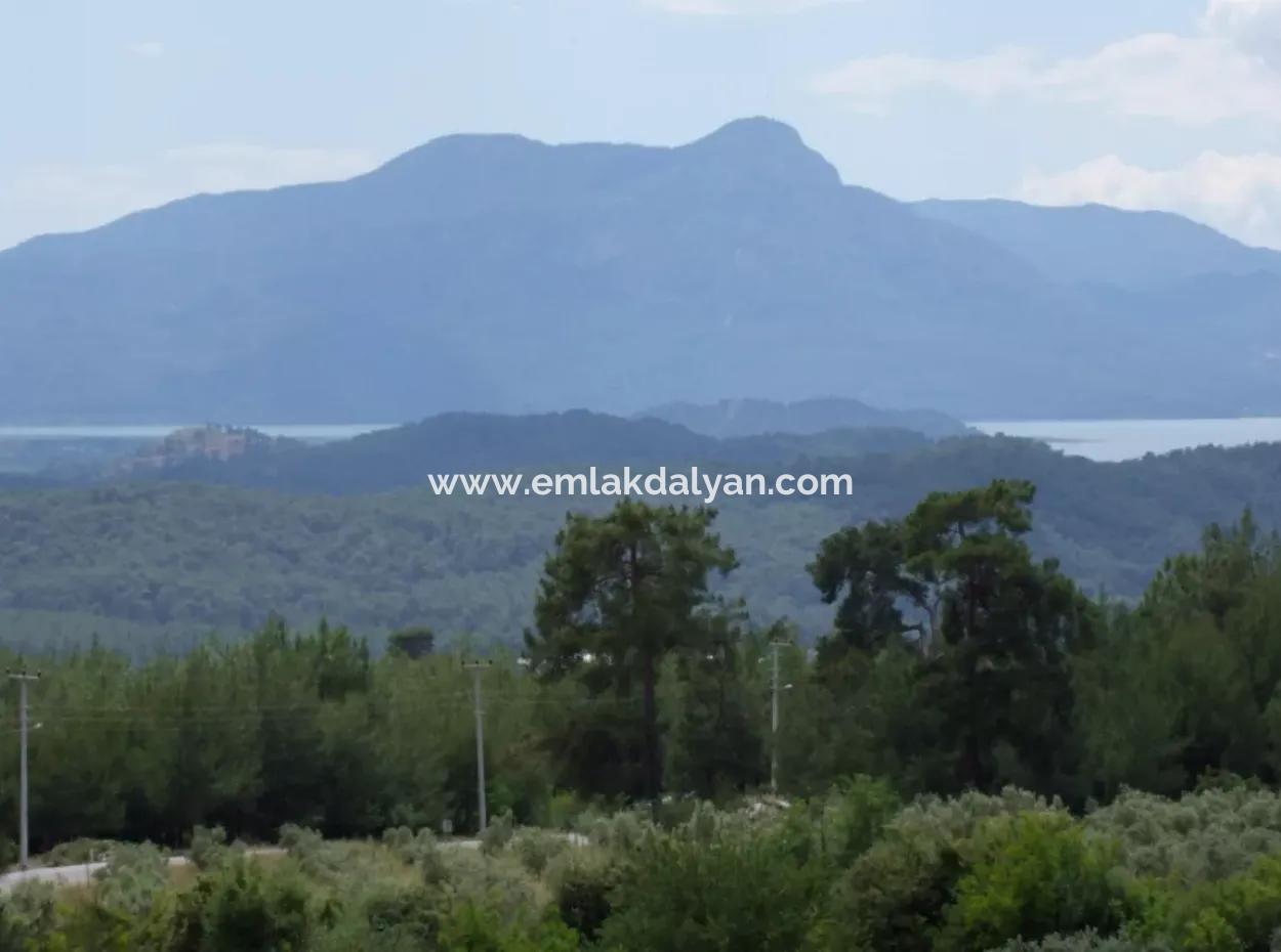Luxury Villa For Sale In Zeytinalanda Köyceğinz Zeytınalanda 6800M2 Land Villa For Sale With Full Lake View