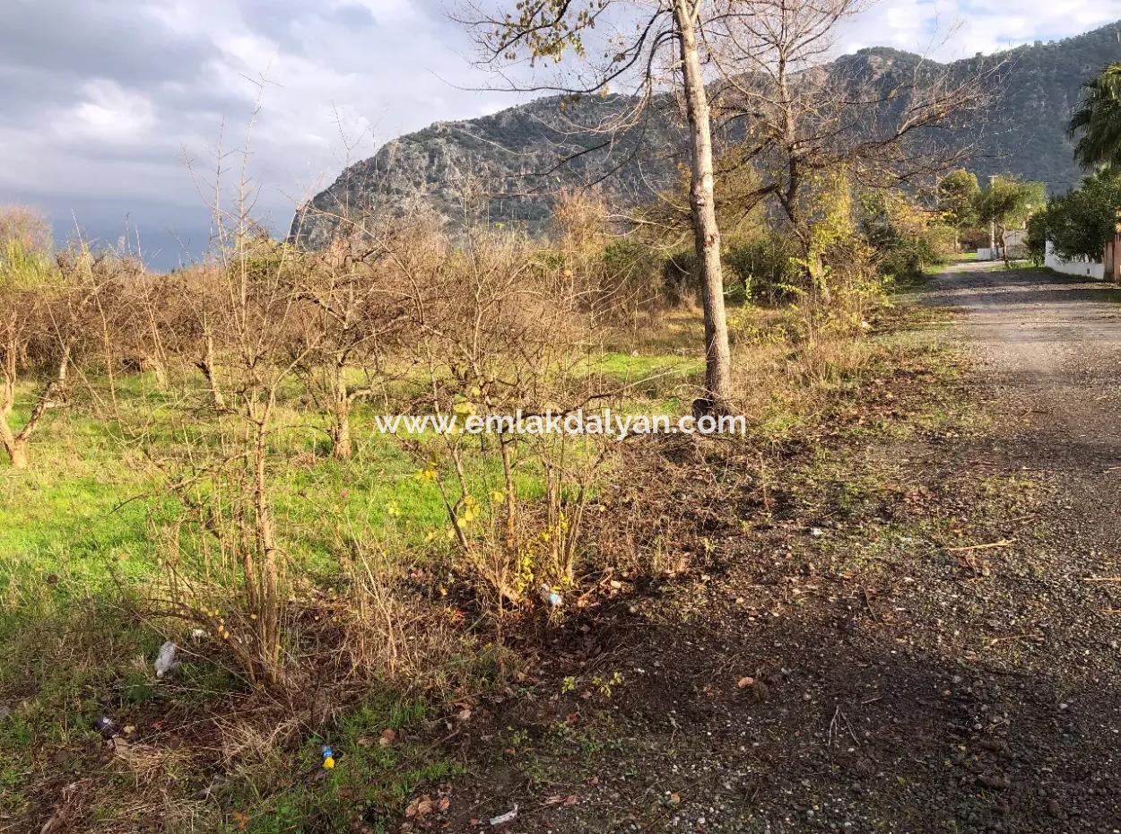 Dalyan Land For Sale Near The Center 3000M2 5% Zoning Land For Sale