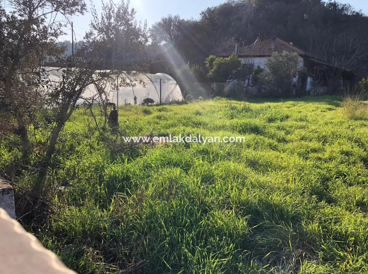 777M2 Land For Sale In Ula Sarayyanı