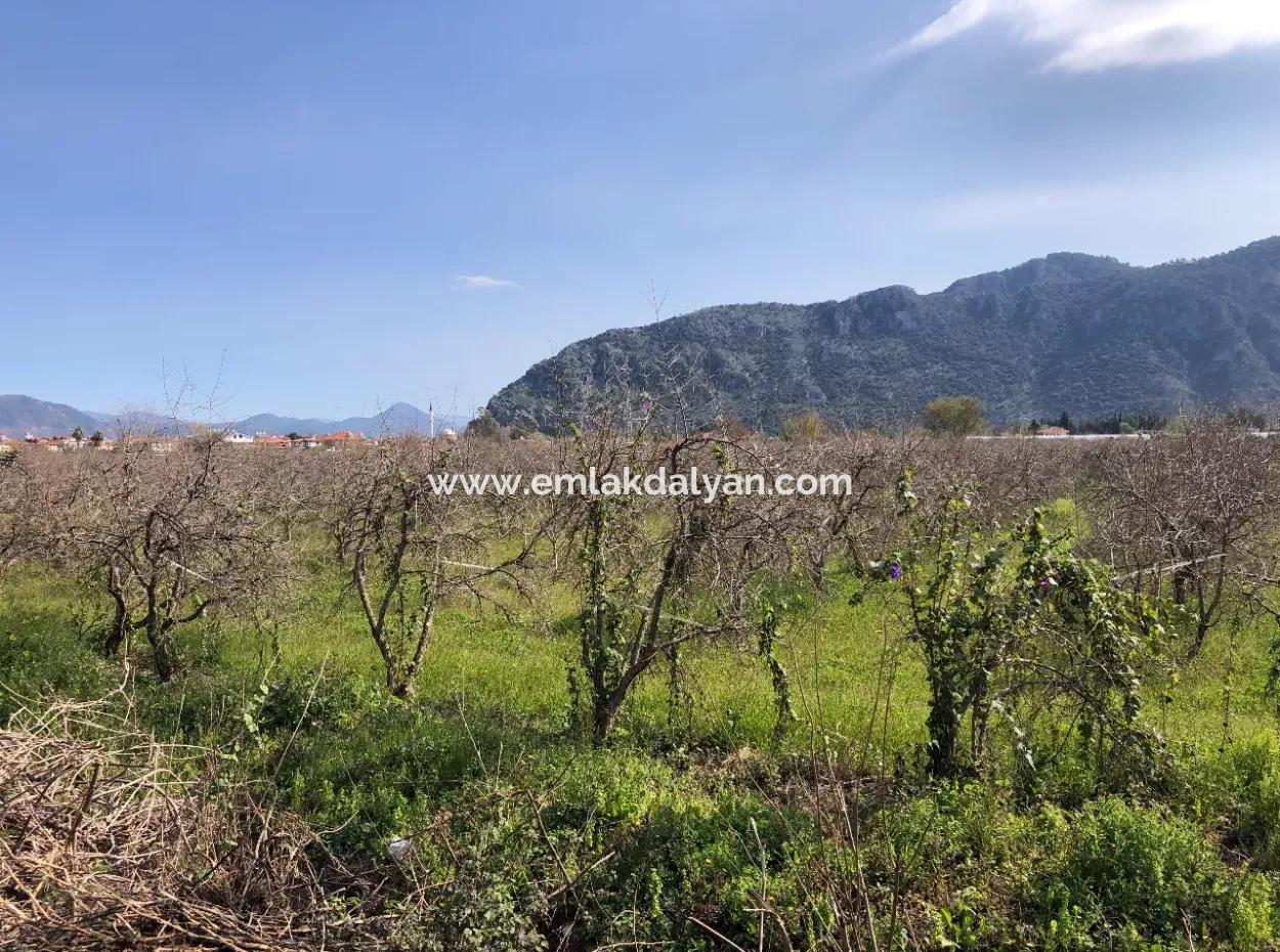 5500M2 Land For Sale In Dalyan